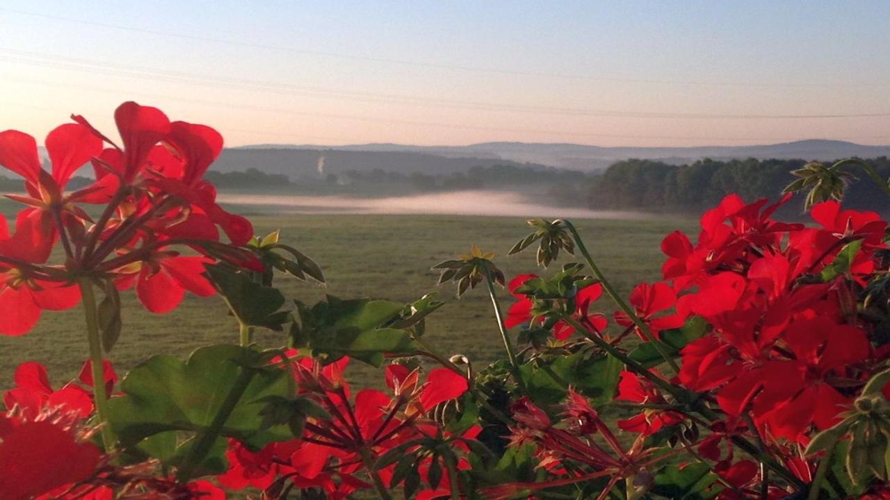 Waldhotel Dierdorf 외부 사진